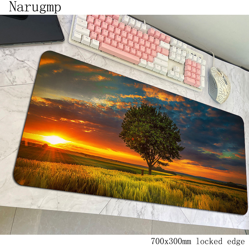 Sunset Mouse Pad Beautiful Ani - огляд і ціна Pc Gaming World Of Warcraft
